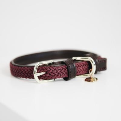 Collier chien tressé Kentucky bordeaux