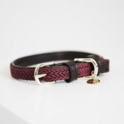Collier chien tressé Kentucky bordeaux