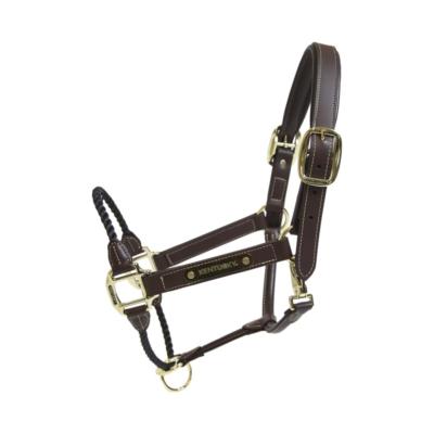 Licol ROPE Kentucky