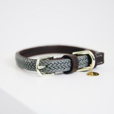 Collier chien tressé Kentucky gris