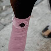 Bandes polo VELVET kentucky vieux rose