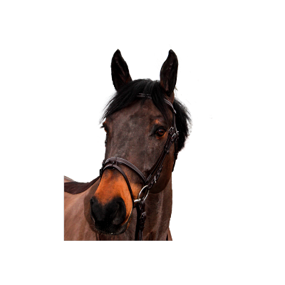 Bridon CANTER classic