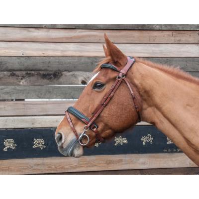 Bridon anatomique Lautrec