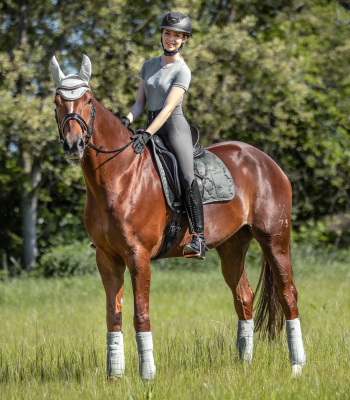 Ensemble Tapis dressage + bonnet Modern rosé Métal