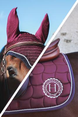 Ensemble tapis SOLY + Bonnet FOLY Harcour