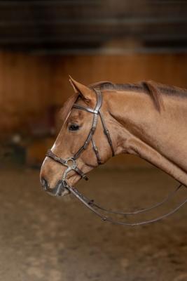 Bridon Hackamore