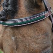 Bridon PARIS Flags&Cup marron/vert