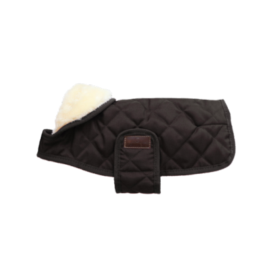 Couverture Chien Kentucky choco