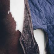 Couverture marcheur 160gr Kentucky