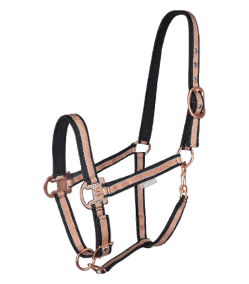 Licol nylon Shine noir/ rose gold