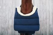 Horse BIB Kentucky