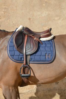 Tapis SAM HARCOUR marine PONEY