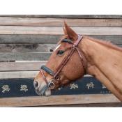 Bridon anatomique Lautrec