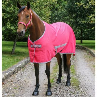 Chemise coton PONEY Bucas rose