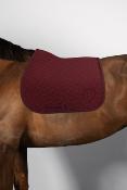 Tapis SAPHIR Harcour CSO hiver 2026