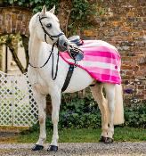 Couvre rein HW Newmarket rose