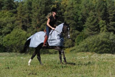 Chemise antimouche Buzz-off riding Bucas