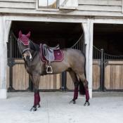 Tapis Velvet dressage Kentucky bordeaux