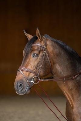 Renes allemandes cuir /corde