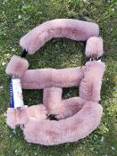 Licol de transport mouton rose gold