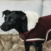 Couverture Chien polaire Kentucky bordeaux