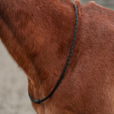 Cordelette etho cuir