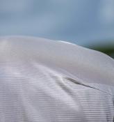 Chemise antimouche AMIGO Bug rug PLUS