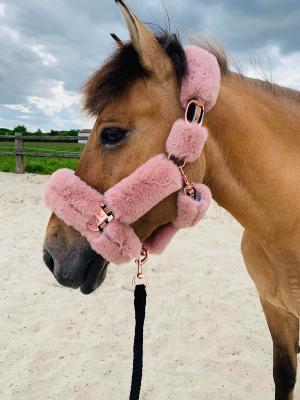 Licol de transport mouton rose gold
