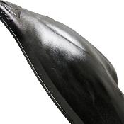 pad de garrot rehausseur gel Acavallo