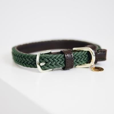 Collier chien tressé Kentucky olive