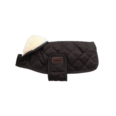 Couverture Chien Kentucky choco