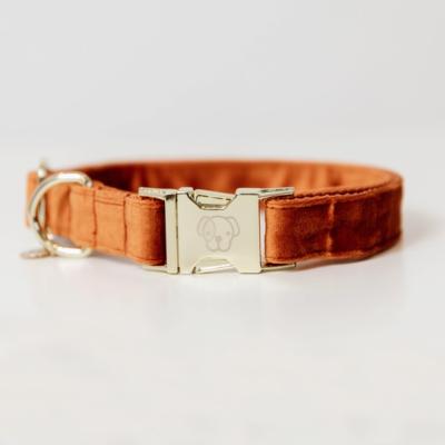 Collier chien velvet Kentucky orange