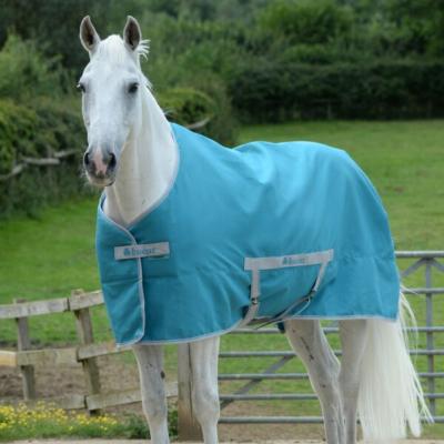 Chemise coton Bucas aqua