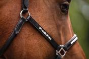 Licol cuir STRASS