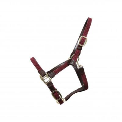 Licol nylon tressé Kentucky Bordeaux