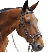 Bridon PARIS Flags&Cup marron/vert