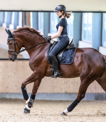 Ensemble Tapis dressage + bandes polo Modern rosé marine