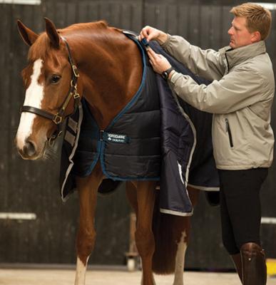 Liner 200 Horseware