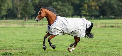 Couverture SUNSHOWER Bucas