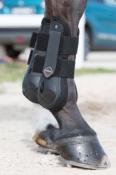 Guetres Derby ProJump Lemieux noir
