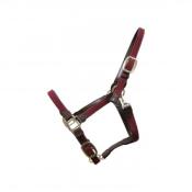 Licol nylon tressé Kentucky Bordeaux